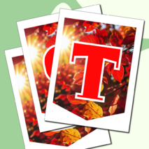 Растяжка флажки 1 сентября День знаний