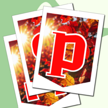 Растяжка флажки 1 сентября День знаний