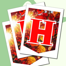 Растяжка флажки 1 сентября День знаний