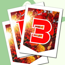 Растяжка флажки 1 сентября День знаний