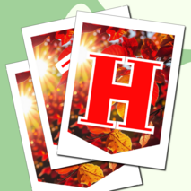 Растяжка флажки 1 сентября День знаний