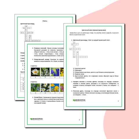 Цветочный микс (игровая программа).