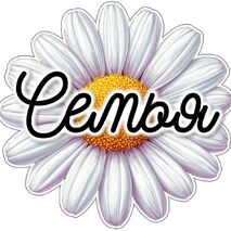 Оформление «День семьи, любви и верности»