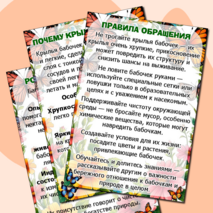 Папка-передвижка на 19 июня «День бабочек». Информационные листы. Добавлен редактируемый файл.