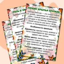 Папка-передвижка на 19 июня «День бабочек». Информационные листы. Добавлен редактируемый файл.