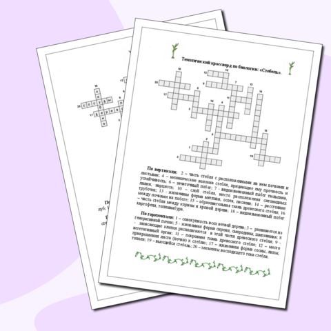 Тематический кроссворд по биологии: 