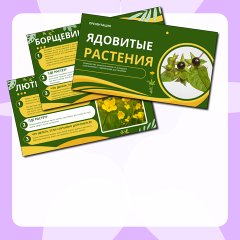Презентация 