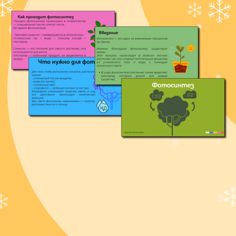 Презентация на тему: «Фотосинтез»