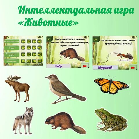 Презентация интеллектуальной игры 
