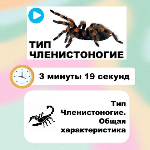 Видеоурок по биологии: Тип Членистоногие. Общая характеристика