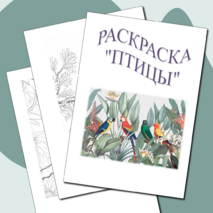 Раскраска «Птицы»