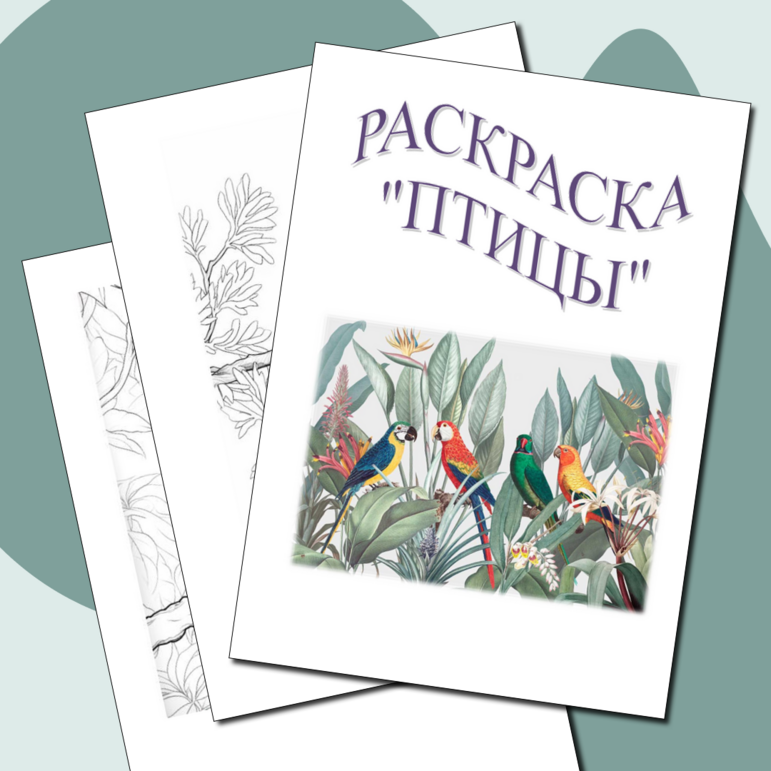 Раскраска «Птицы»