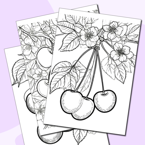 Раскраска «День черешни»
