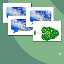 Оформление 