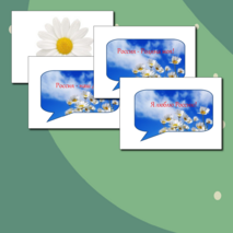 Оформление 