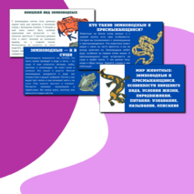 Презентация по теме: «Мир животных: земноводные и пресмыкающиеся. Особенности внешнего вида, условия жизни, передвижения, питания: узнавание, называние, описание»