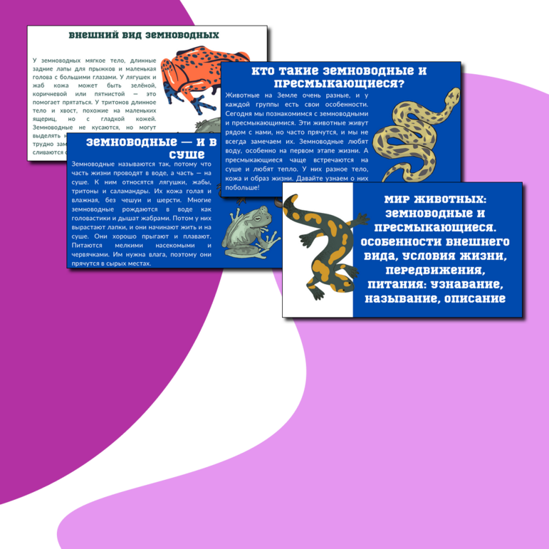 Презентация по теме: «Мир животных: земноводные и пресмыкающиеся. Особенности внешнего вида, условия жизни, передвижения, питания: узнавание, называние, описание»
