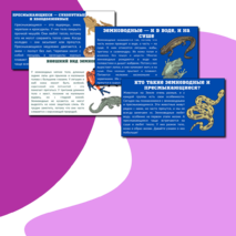 Презентация по теме: «Мир животных: земноводные и пресмыкающиеся. Особенности внешнего вида, условия жизни, передвижения, питания: узнавание, называние, описание»