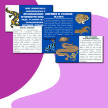 Презентация по теме: «Мир животных: земноводные и пресмыкающиеся. Особенности внешнего вида, условия жизни, передвижения, питания: узнавание, называние, описание»