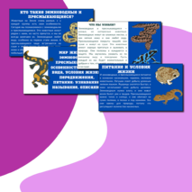 Презентация по теме: «Мир животных: земноводные и пресмыкающиеся. Особенности внешнего вида, условия жизни, передвижения, питания: узнавание, называние, описание»