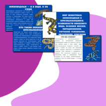 Презентация по теме: «Мир животных: земноводные и пресмыкающиеся. Особенности внешнего вида, условия жизни, передвижения, питания: узнавание, называние, описание»