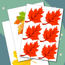 Оформление 