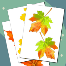 Оформление 