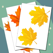 Оформление 