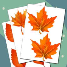 Оформление 