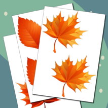 Оформление 