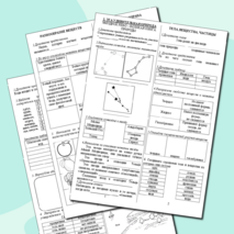 Рабочие листы к разделу 