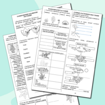 Рабочие листы к разделу 