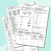 Рабочие листы к разделу 