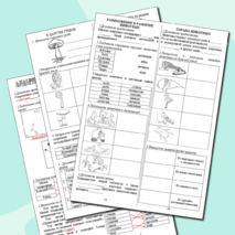 Рабочие листы к разделу 