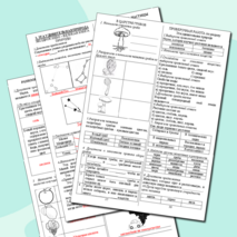 Рабочие листы к разделу 
