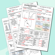 Рабочие листы к разделу 