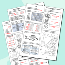 Рабочие листы к разделу 