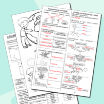 Рабочие листы к разделу 