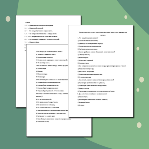 Тест по физике на тему «Магнитное поле. Магнитное поле Земли и его значение для жизни». 8 класс.