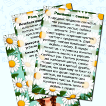 Папка-передвижка на 24 июня «День ромашки». Информационные листы. Добавлен редактируемый файл.