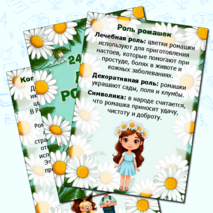 Папка-передвижка на 24 июня «День ромашки». Информационные листы. Добавлен редактируемый файл.