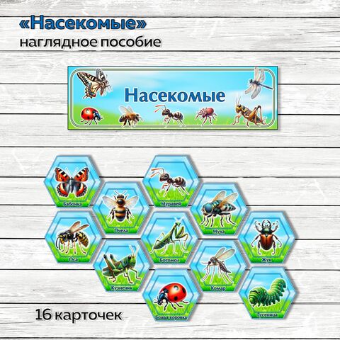 Наглядное пособие «Насекомые»