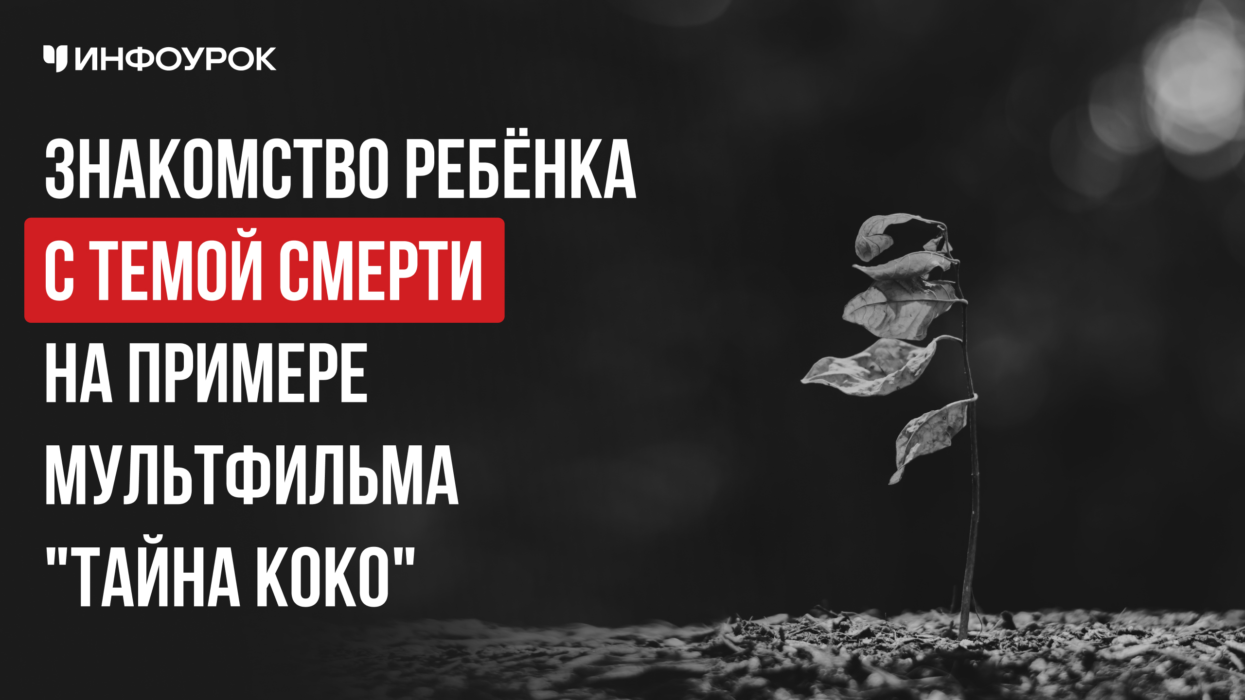 Обложка курса