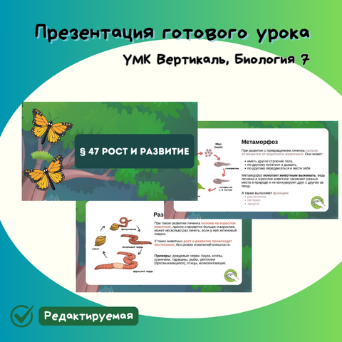 Презентация к уроку по биологии 