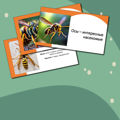 Презентация 