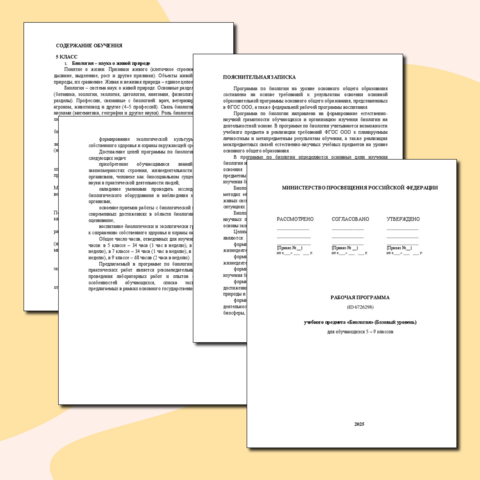 Рабочая программа: 