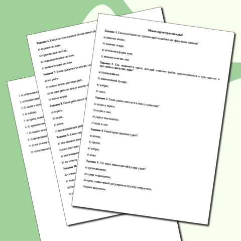 Тестирование 