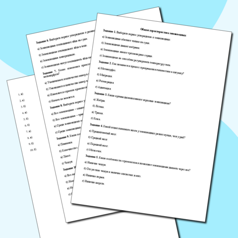 Тестирование 