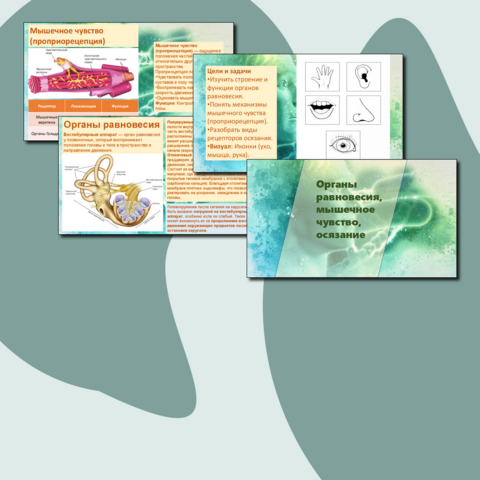 Презентация