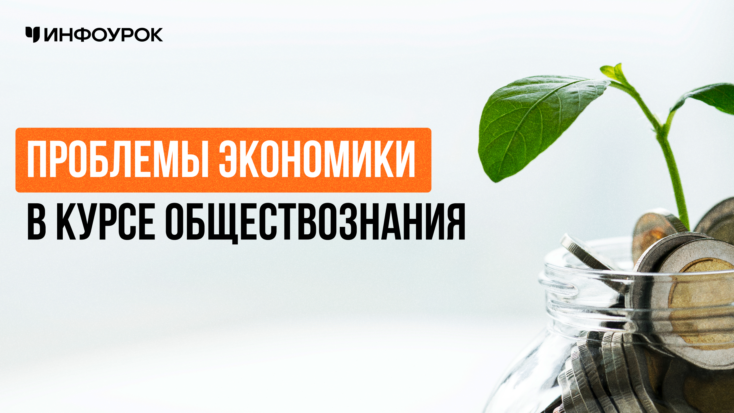 Проблемы экономики в курсе обществознания